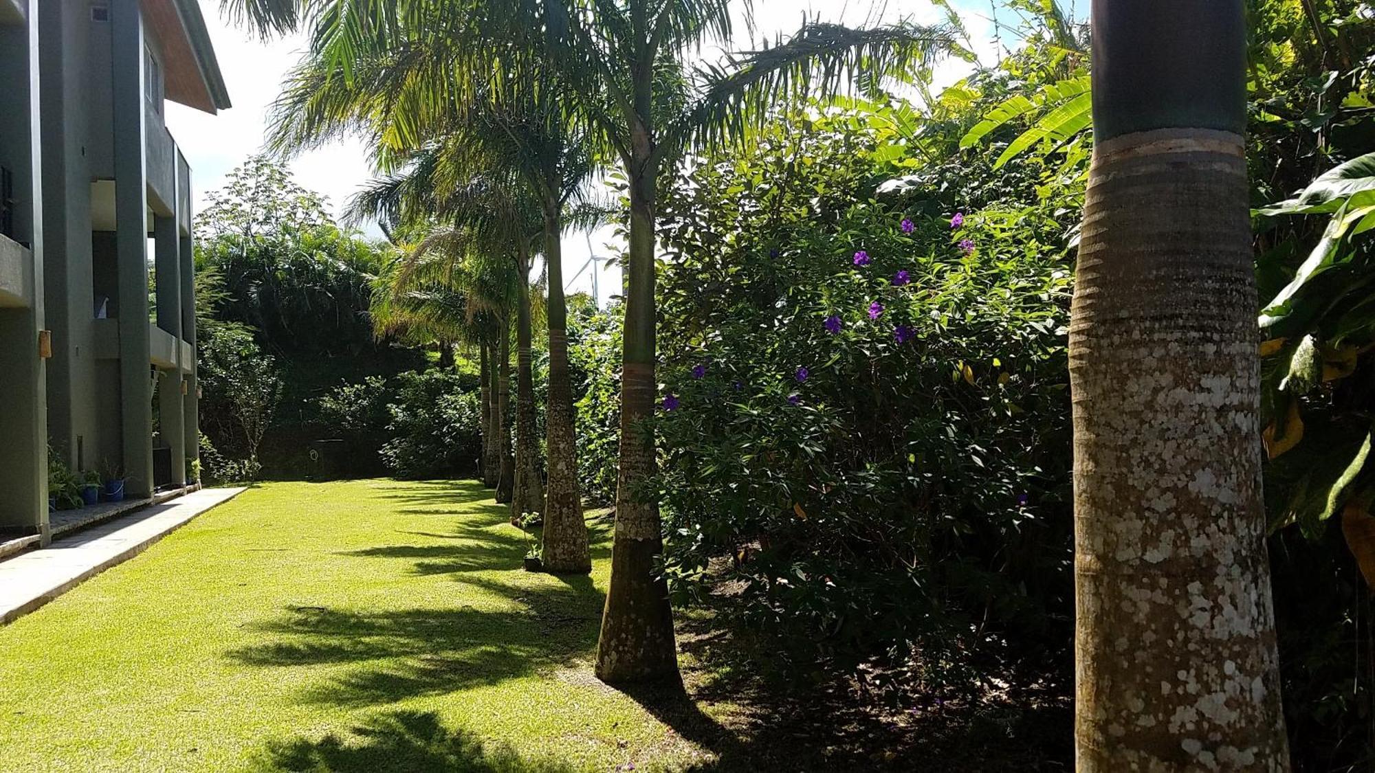 Lake Arenal Condos Naranjos Agrios Kültér fotó