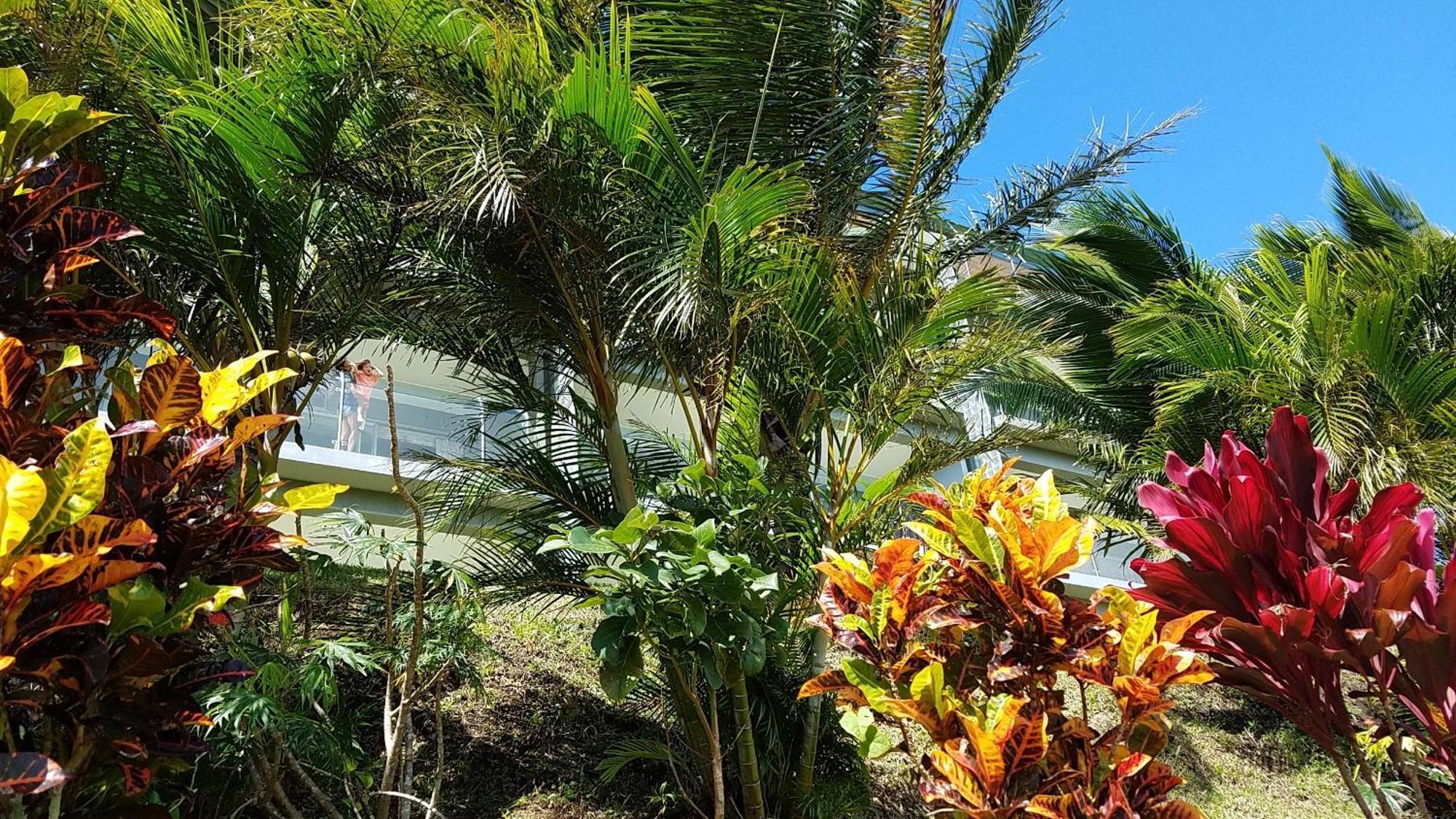 Lake Arenal Condos Naranjos Agrios Kültér fotó